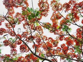 《卡牌之声》三部曲今日发售 登陆全平台